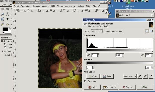 Werte mit Gimp ändern